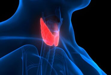 Hypothyroidism vs hyperthyroidism